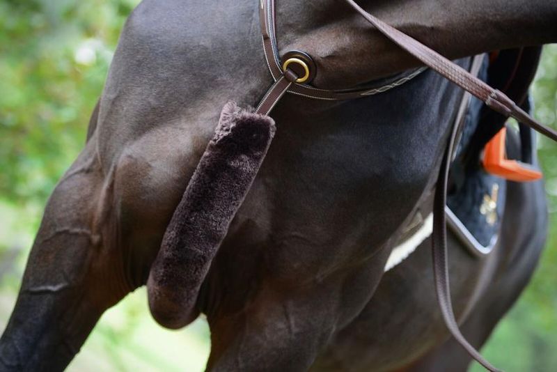 Kentucky Sheepskin Breastplate Cover