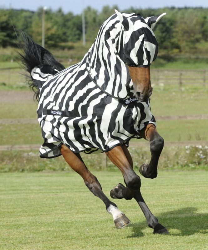 Bucas Zebra Buzz Off Full Neck 