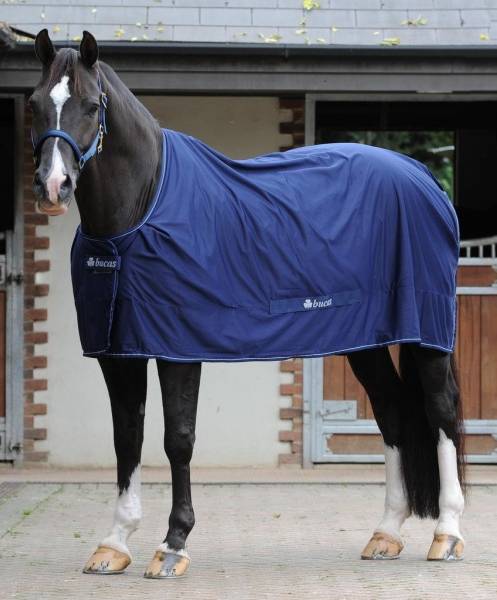 Hovedbilde Bucas Shamrock Power