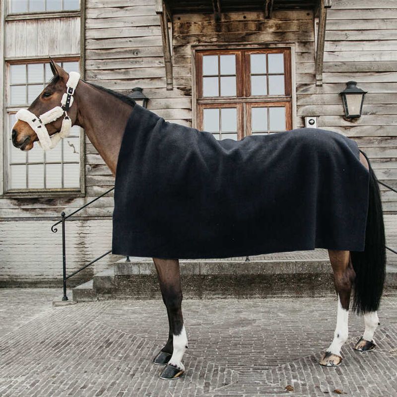 Kentucky Heavy Fleece Rug 