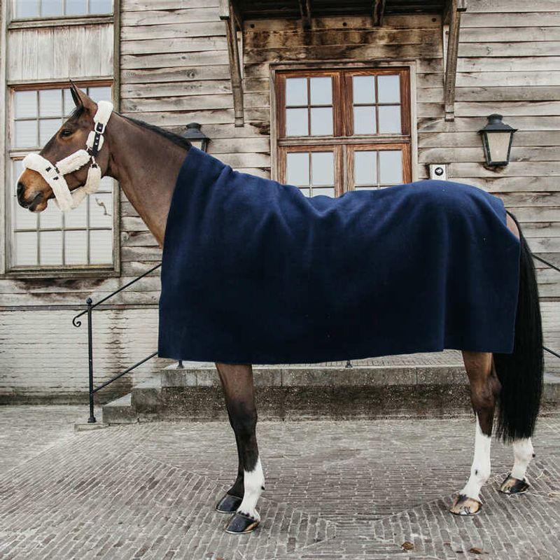 Kentucky Heavy Fleece Rug 