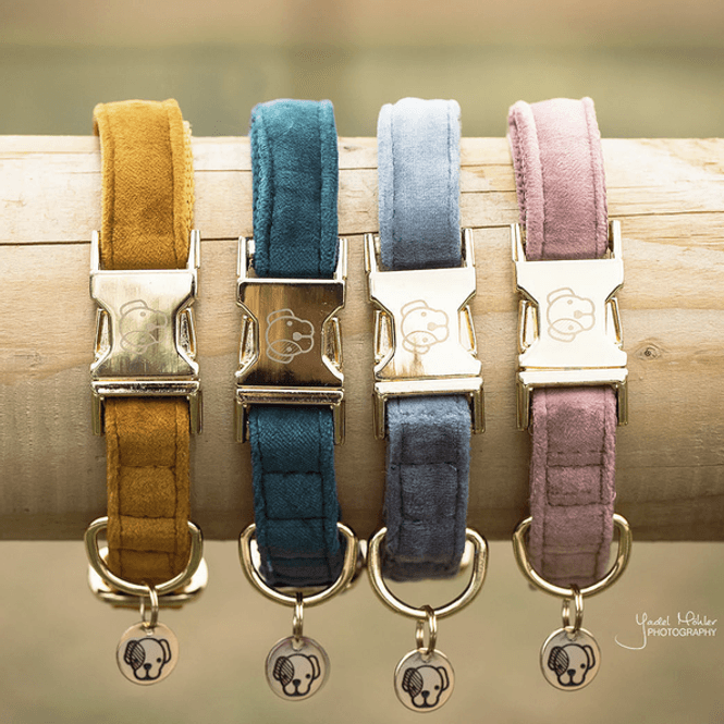 Hovedbilde Kentucky Dog Collar Velvet