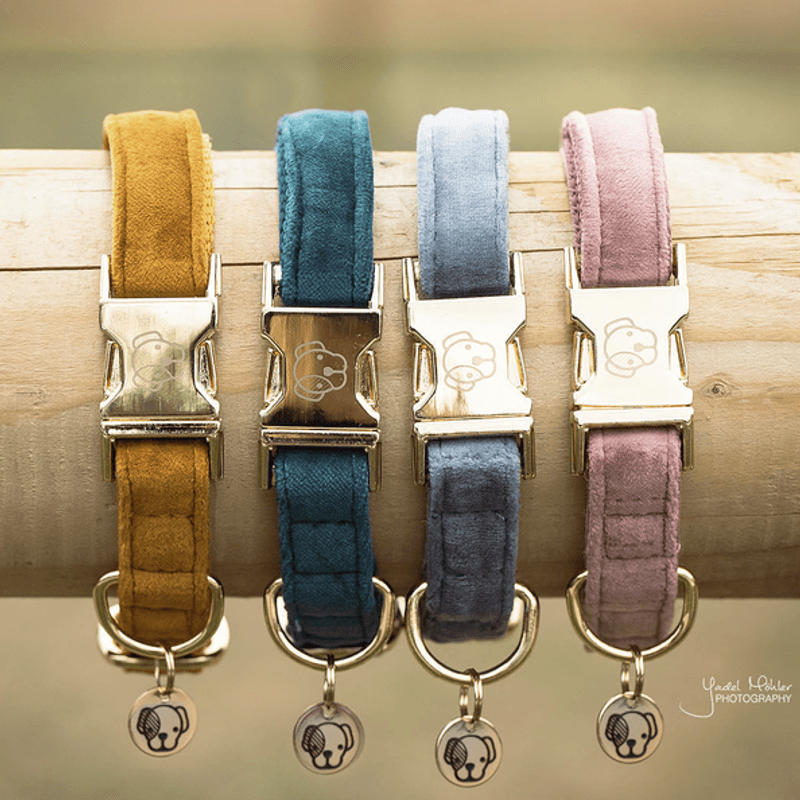 Kentucky Dog Collar Velvet