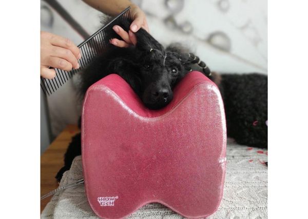 Topknot Pillow Glitzy