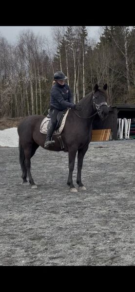 Hovedbilde Trening 1 måned 