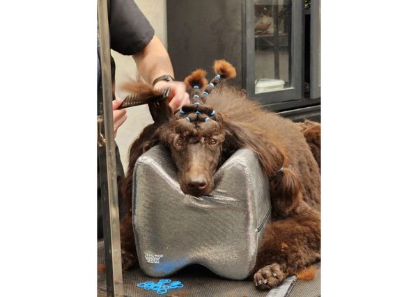 Topknot Pillow Glitzy