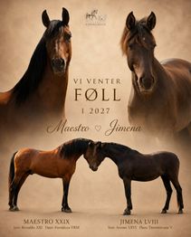 F&oslash;ll ventes 2027 (Jimena & Maestro)
